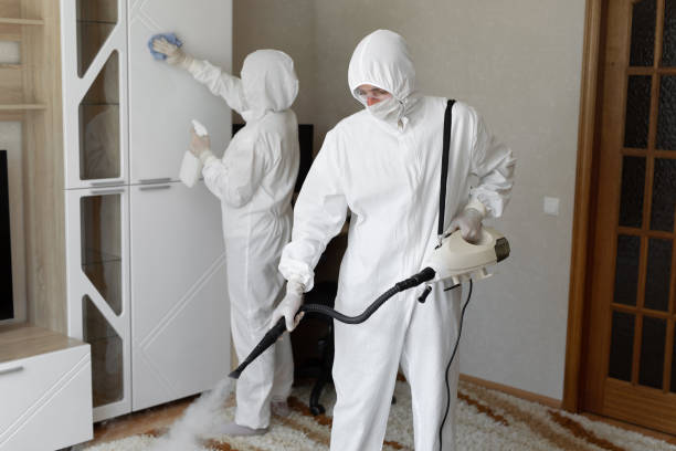 24/7 Emergency Odor Removal experts in Highland Park, MI